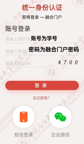 圖片7