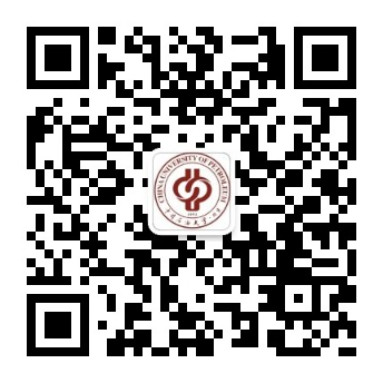 圖片12