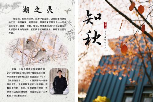 合并圖_畫板 1