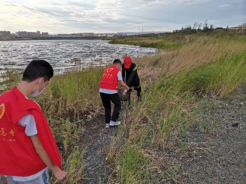 校區(qū)組織開展新時(shí)代校園愛國(guó)衛(wèi)生運(yùn)動(dòng)2