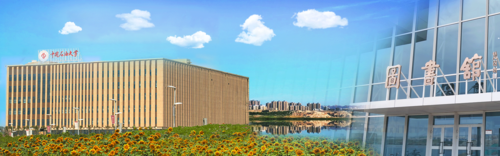 banner-back1