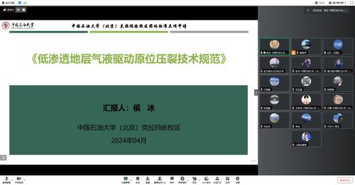侯冰反饋-新聞稿-立項評審會《低滲透地層氣液驅(qū)動原位壓裂技術(shù)規(guī)范》1