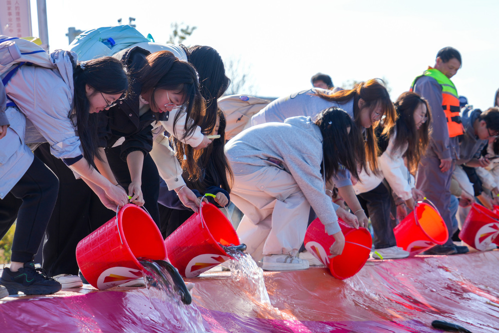 20241019校園開放日放魚活動 朱宏淇攝 (516)