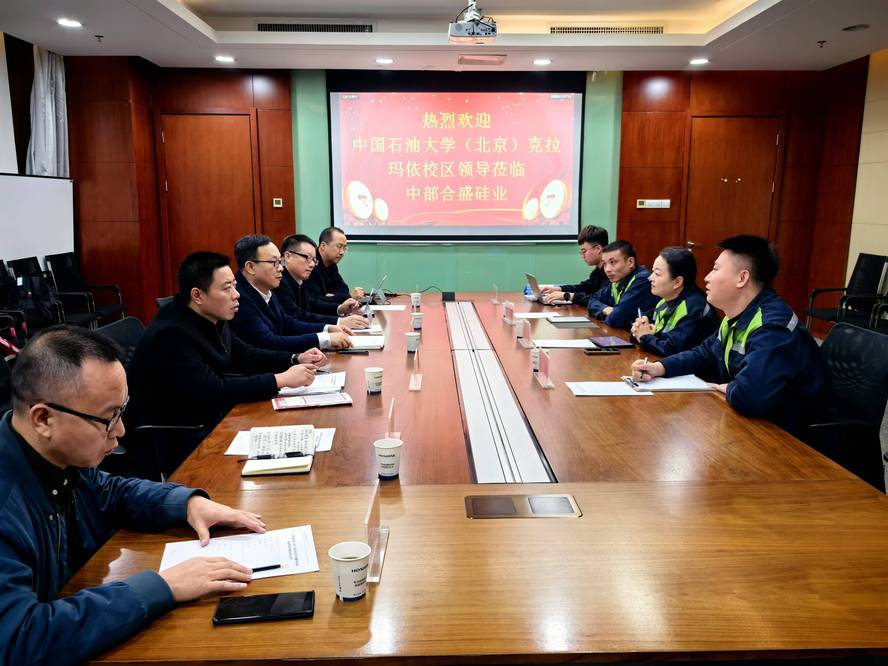 5合盛硅業(yè)微信圖片_20241113125426