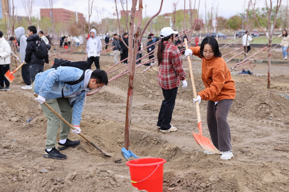 20250420校區(qū)校友林 援建林種植活動-李新雅 (20)