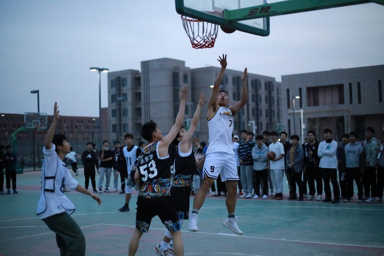 圖片5