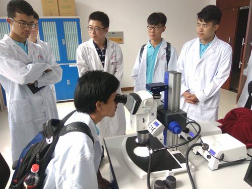 15西北局油樣分析